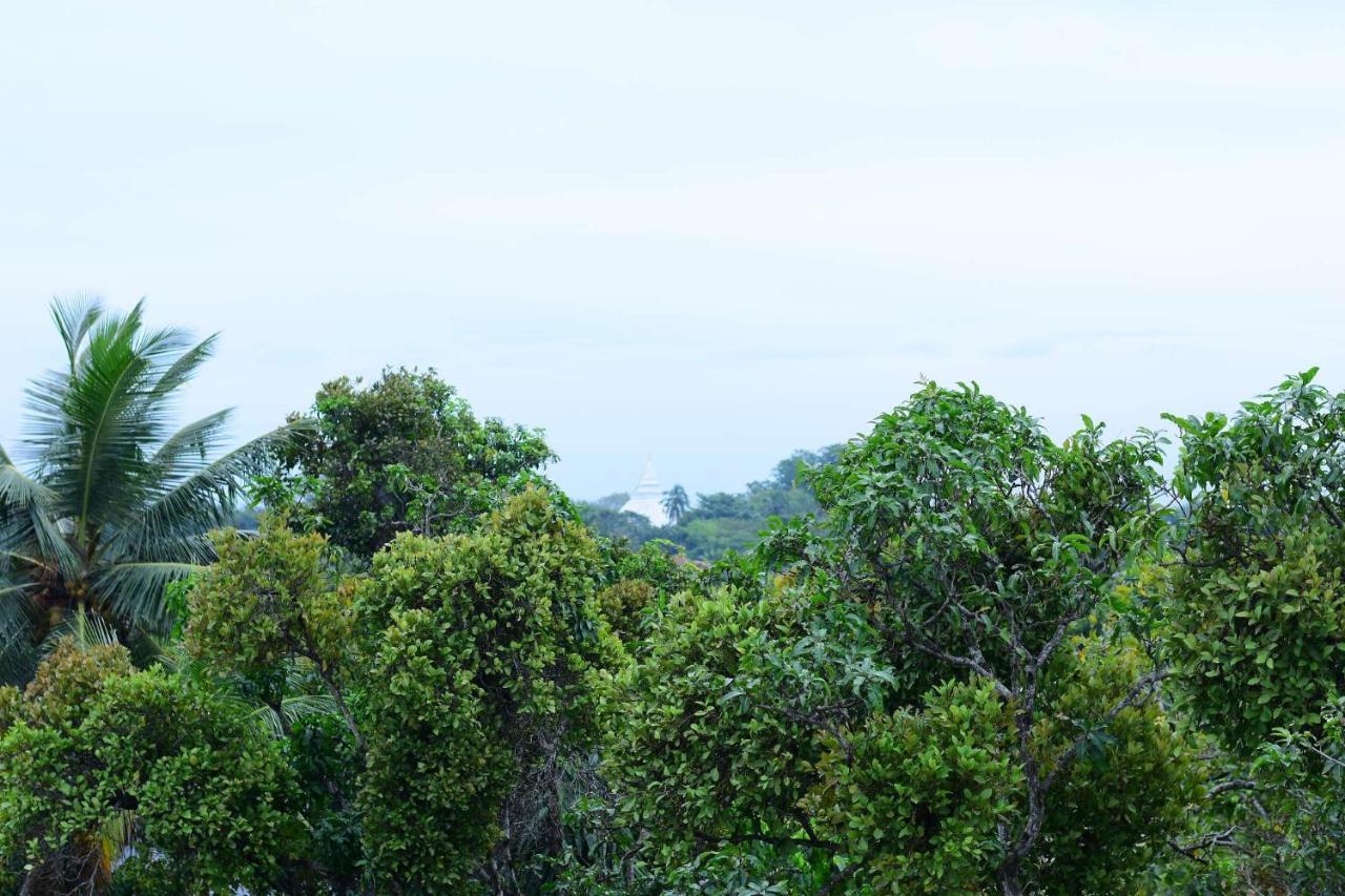 Heritage Eco Resort Kelaniya Buitenkant foto