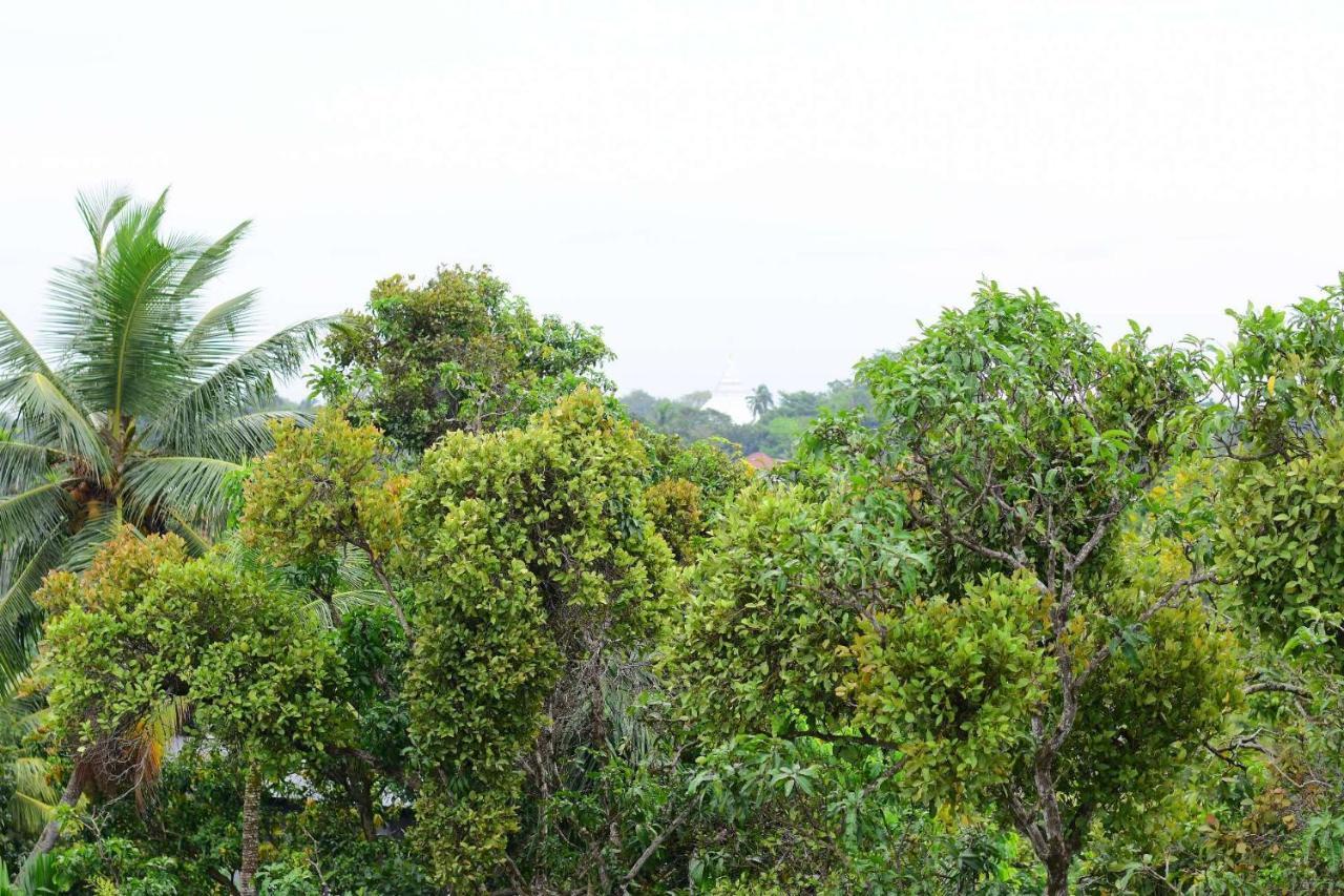 Heritage Eco Resort Kelaniya Buitenkant foto